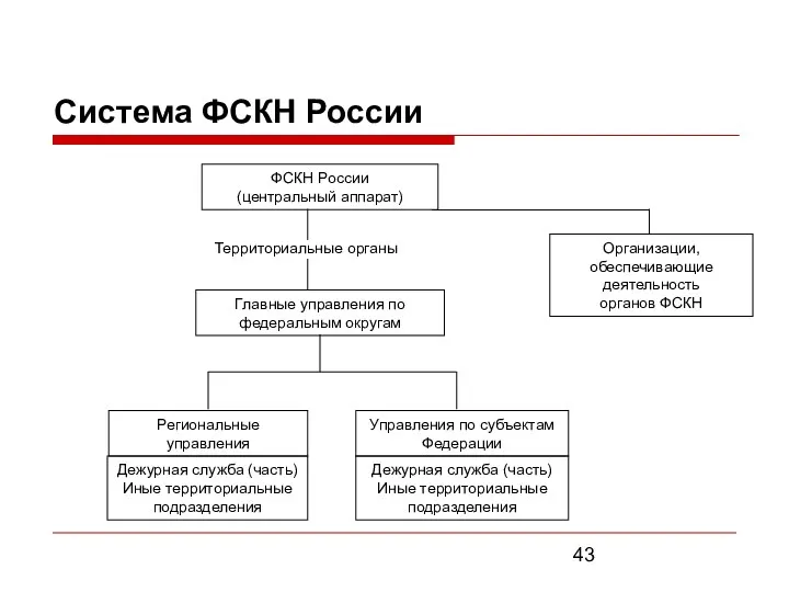 Система ФСКН России