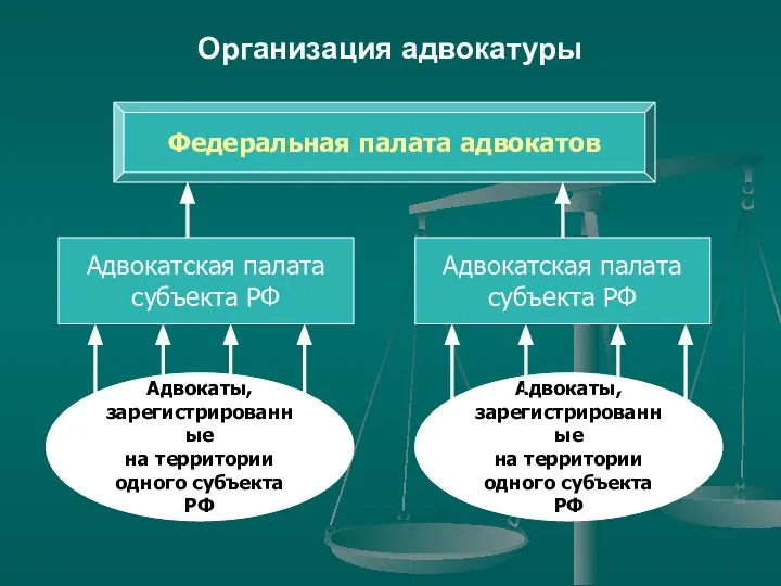 Организация адвокатуры Адвокатская палата субъекта РФ Адвокаты, зарегистрированные на территории одного