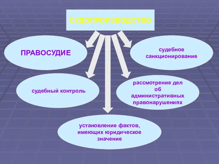 СУДОПРОИЗВОДСТВО ПРАВОСУДИЕ установление фактов, имеющих юридическое значение судебное санкционирование рассмотрение дел об административных правонарушениях судебный контроль