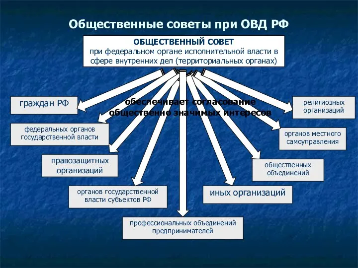 Общественные советы при ОВД РФ ОБЩЕСТВЕННЫЙ СОВЕТ при федеральном органе исполнительной