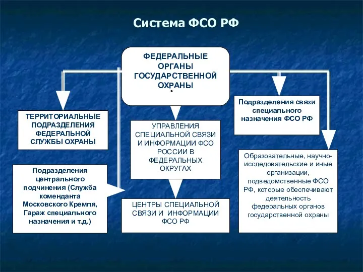 Система ФСО РФ Подразделения центрального подчинения (Служба коменданта Московского Кремля, Гараж специального назначения и т.д.)