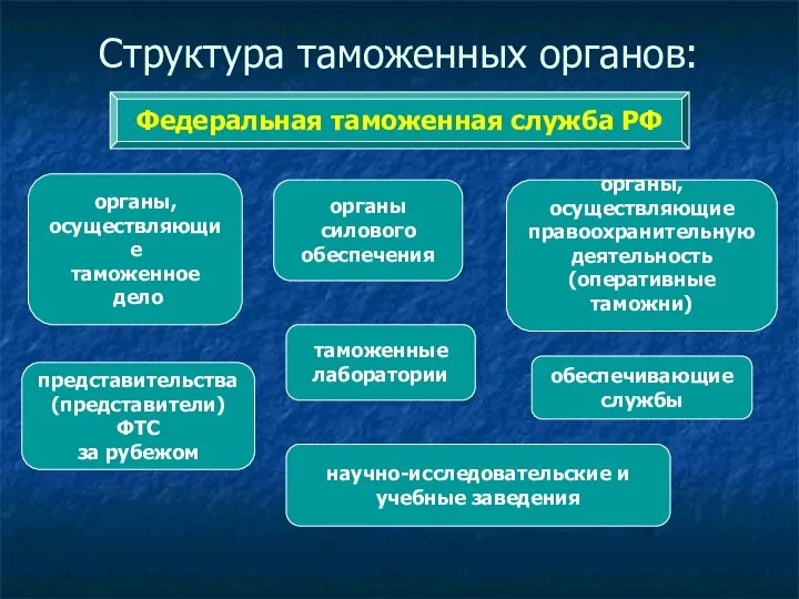 Структура таможенных органов: Федеральная таможенная служба РФ органы, осуществляющие таможенное дело