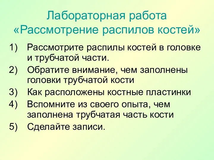 Лабораторная работа «Рассмотрение распилов костей» Рассмотрите распилы костей в головке и