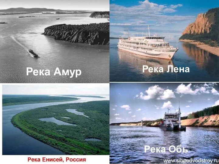 Река Амур Река Лена Река Обь