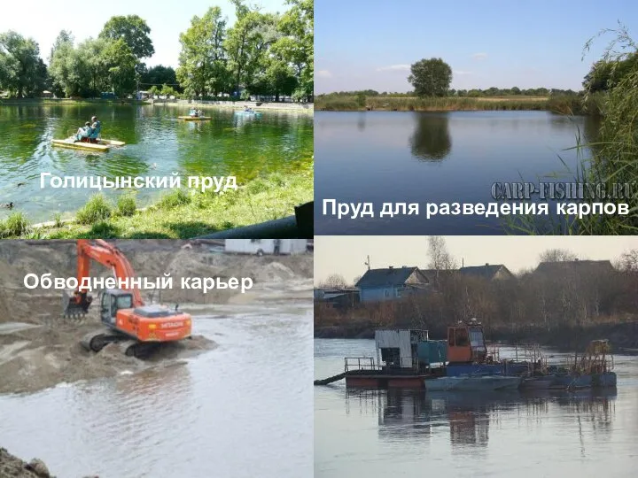 Озеро Байкал Пруд для разведения карпов Истринское водохранилище Обводненный карьер Голицынский пруд