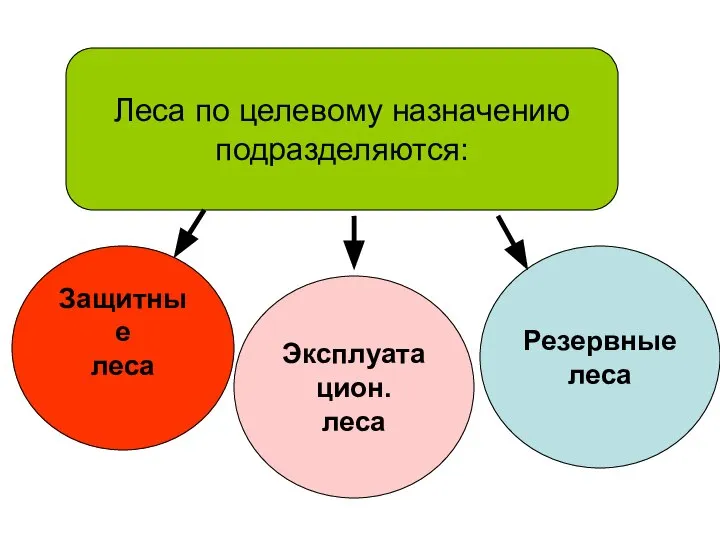 Леса по целевому назначению подразделяются: Защитные леса Эксплуатацион. леса Резервные леса