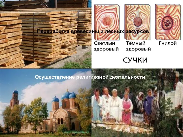 Переработка древесины и лесных ресурсов Осуществление религиозной деятельности