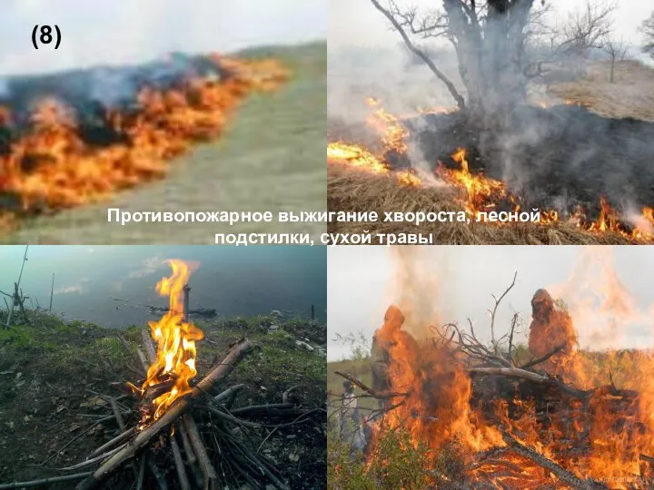 Противопожарное выжигание хвороста, лесной подстилки, сухой травы (8)