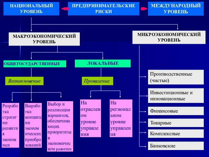 НАЦИОНАЛЬНЫЙ УРОВЕНЬ ПРЕДПРИНИМАТЕЛЬСКИЕ РИСКИ МЕЖДУНАРОДНЫЙ УРОВЕНЬ МАКРОЭКОНОМИЧЕСКИЙ УРОВЕНЬ МИКРОЭКОНОМИЧЕСКИЙ УРОВЕНЬ ОБЩЕГОСУДАРСТВЕННЫЕ
