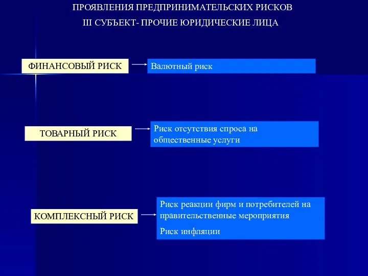 ПРОЯВЛЕНИЯ ПРЕДПРИНИМАТЕЛЬСКИХ РИСКОВ III СУБЪЕКТ- ПРОЧИЕ ЮРИДИЧЕСКИЕ ЛИЦА ФИНАНСОВЫЙ РИСК Валютный