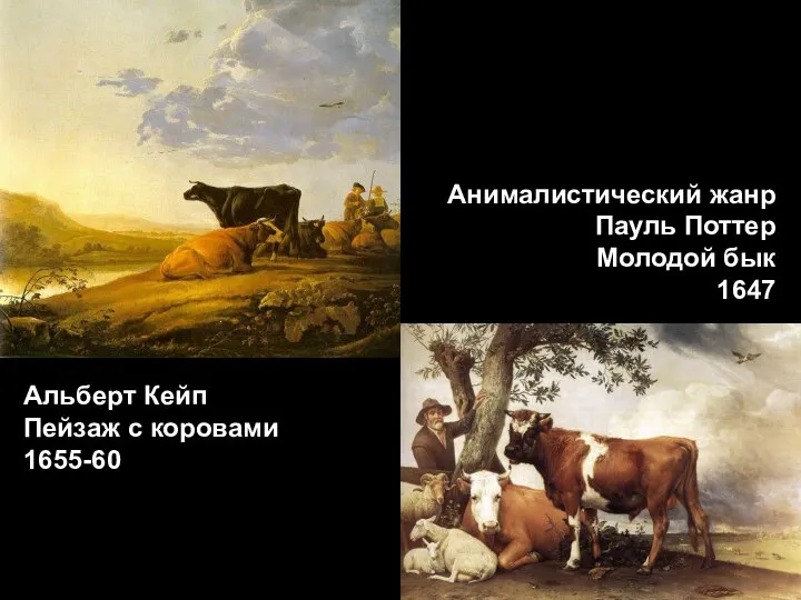 Анималистический жанр Пауль Поттер Молодой бык 1647 Альберт Кейп Пейзаж с коровами 1655-60