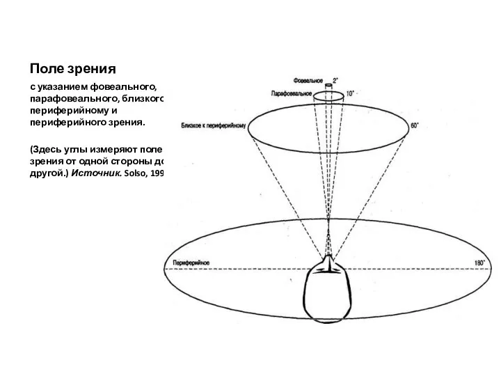 Поле зрения с указанием фовеального, парафовеального, близкого к периферийному и периферийного