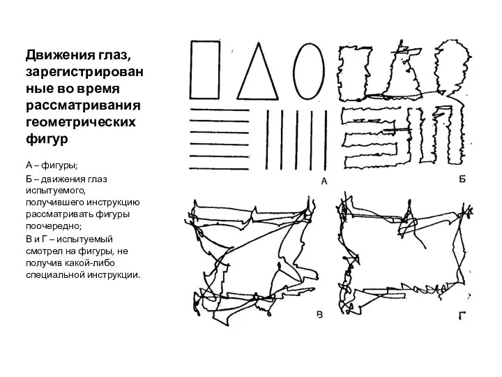 Движения глаз, зарегистрированные во время рассматривания геометрических фигур А – фигуры;