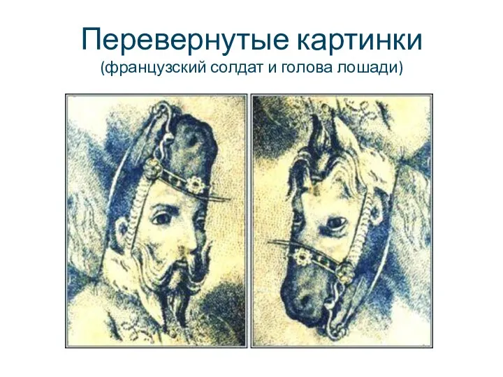 Перевернутые картинки (французский солдат и голова лошади)