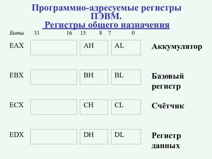 Программно-адресуемые регистры ПЭВМ. Регистры общего назначения