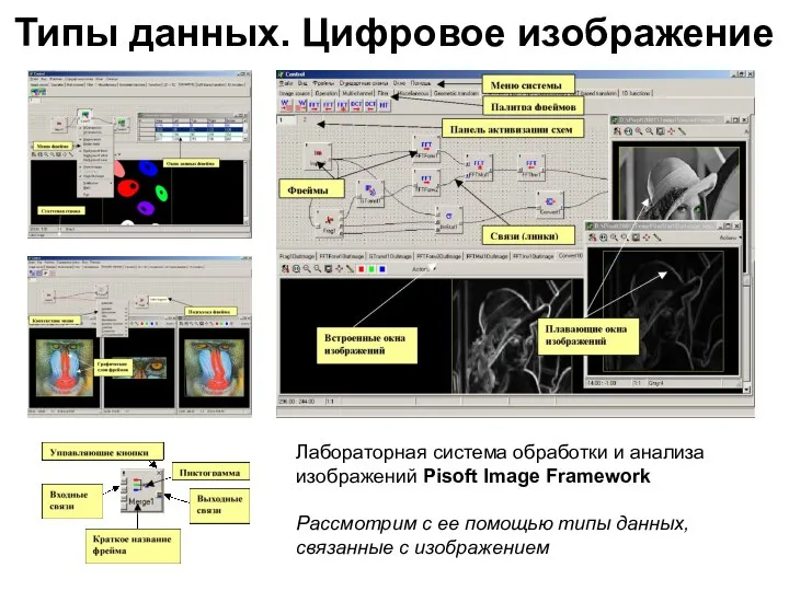 Типы данных. Цифровое изображение Лабораторная система обработки и анализа изображений Pisoft