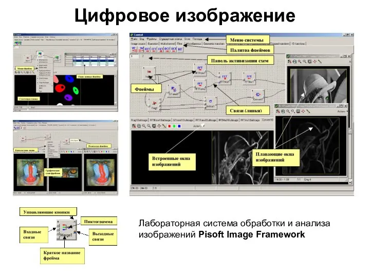 Цифровое изображение Лабораторная система обработки и анализа изображений Pisoft Image Framework