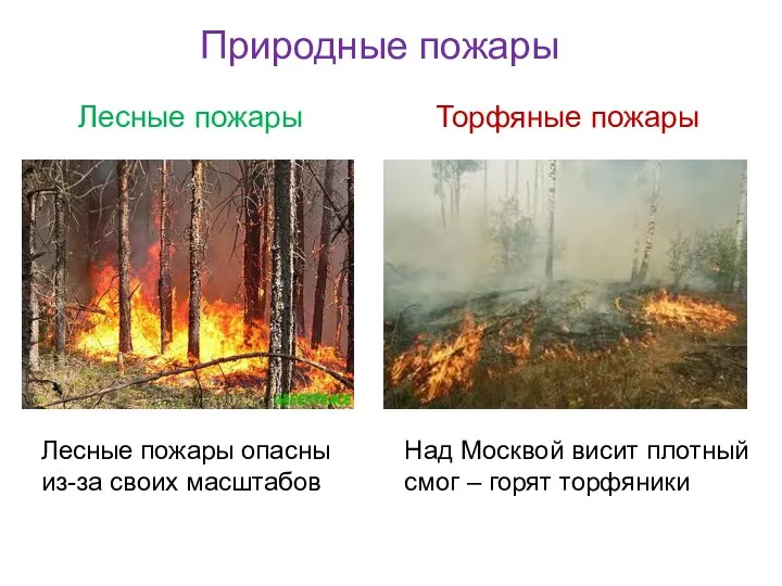 Природные пожары Лесные пожары Торфяные пожары Лесные пожары опасны из-за своих