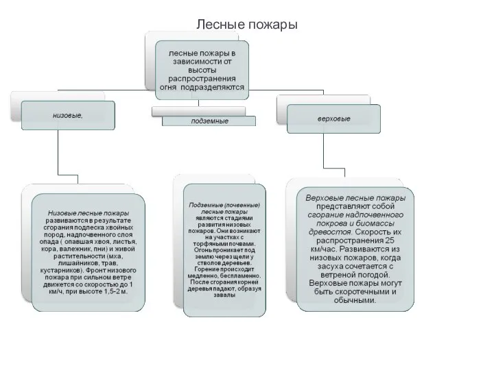 Лесные пожары