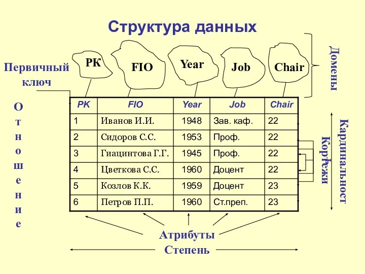 Структура данных Атрибуты Степень Кардинальность Кортежи Первичный ключ РК FIO Year Job Chair Домены Отношение