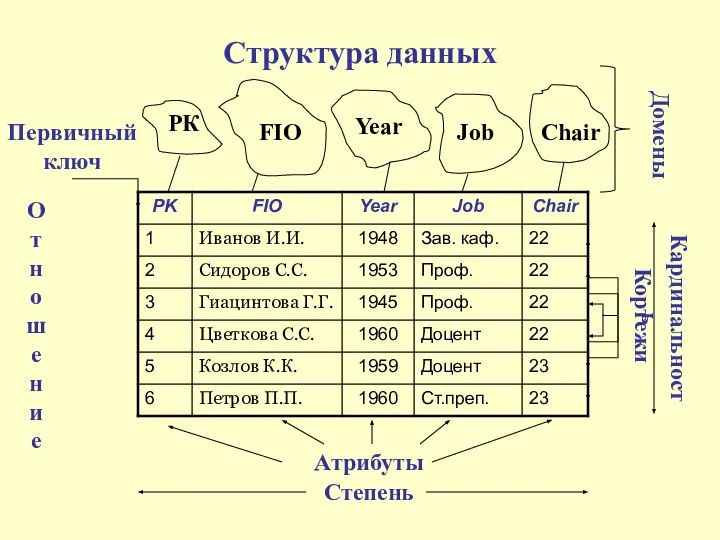 Структура данных Атрибуты Степень Кардинальность Кортежи Первичный ключ РК FIO Year Job Chair Домены Отношение