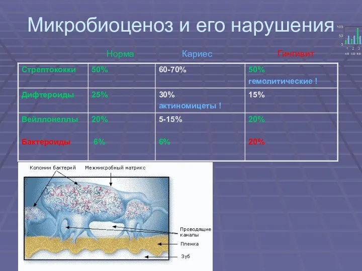 Микробиоценоз и его нарушения Норма Кариес Гингивит