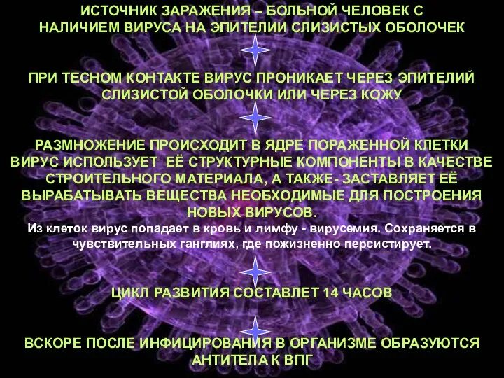 ИСТОЧНИК ЗАРАЖЕНИЯ – БОЛЬНОЙ ЧЕЛОВЕК С НАЛИЧИЕМ ВИРУСА НА ЭПИТЕЛИИ СЛИЗИСТЫХ