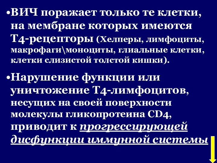 ВИЧ поражает только те клетки, на мембране которых имеются Т4-рецепторы (Хелперы,