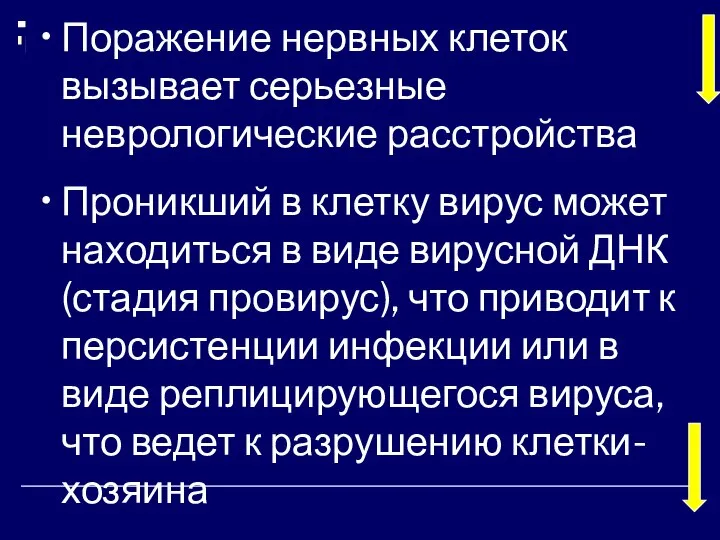 Поражение нервных клеток вызывает серьезные неврологические расстройства Проникший в клетку вирус