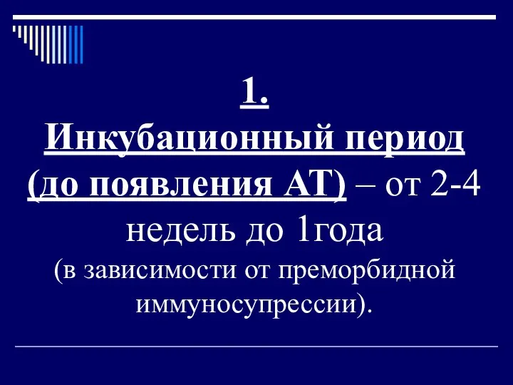 1. Инкубационный период (до появления АТ) – от 2-4 недель до