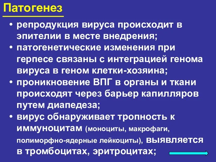 Патогенез репродукция вируса происходит в эпителии в месте внедрения; патогенетические изменения