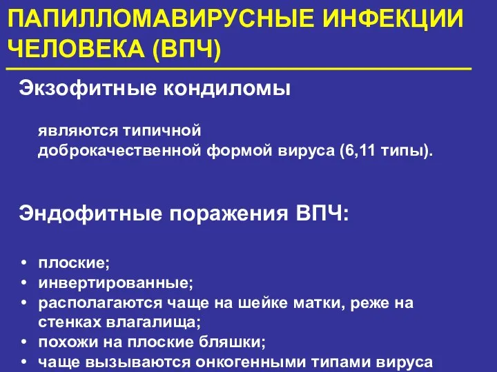 ПАПИЛЛОМАВИРУСНЫЕ ИНФЕКЦИИ ЧЕЛОВЕКА (ВПЧ) Экзофитные кондиломы являются типичной доброкачественной формой вируса