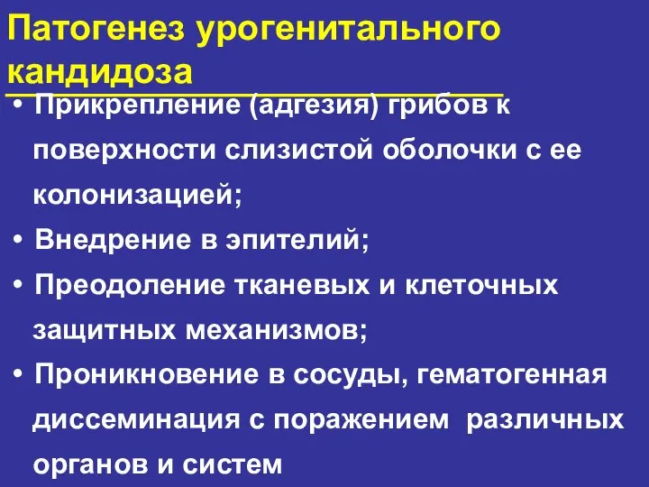 Патогенез урогенитального кандидоза Прикрепление (адгезия) грибов к поверхности слизистой оболочки с