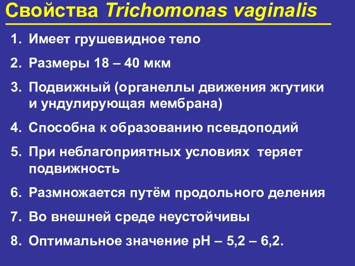 Свойства Trichomonas vaginalis Имеет грушевидное тело Размеры 18 – 40 мкм