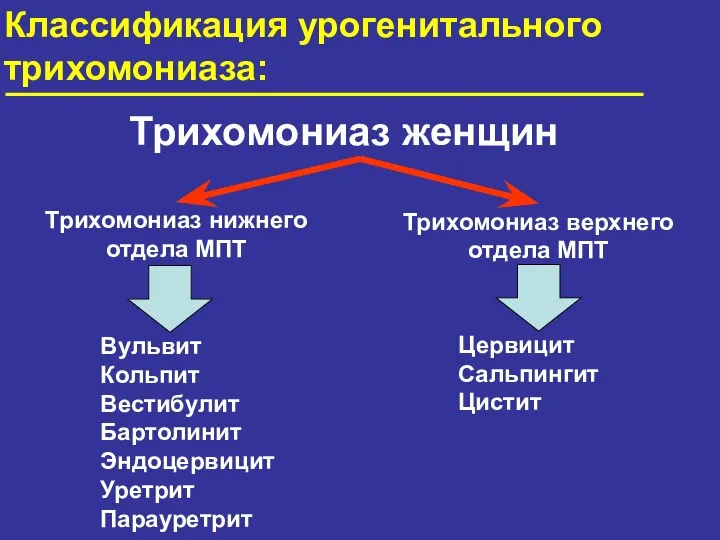 Классификация урогенитального трихомониаза: Трихомониаз женщин Вульвит Кольпит Вестибулит Бартолинит Эндоцервицит Уретрит