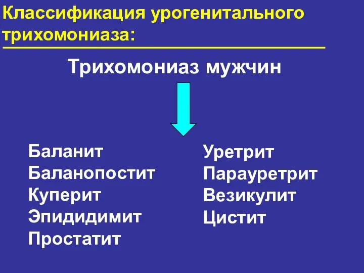 Трихомониаз мужчин Баланит Баланопостит Куперит Эпидидимит Простатит Классификация урогенитального трихомониаза: Уретрит Парауретрит Везикулит Цистит