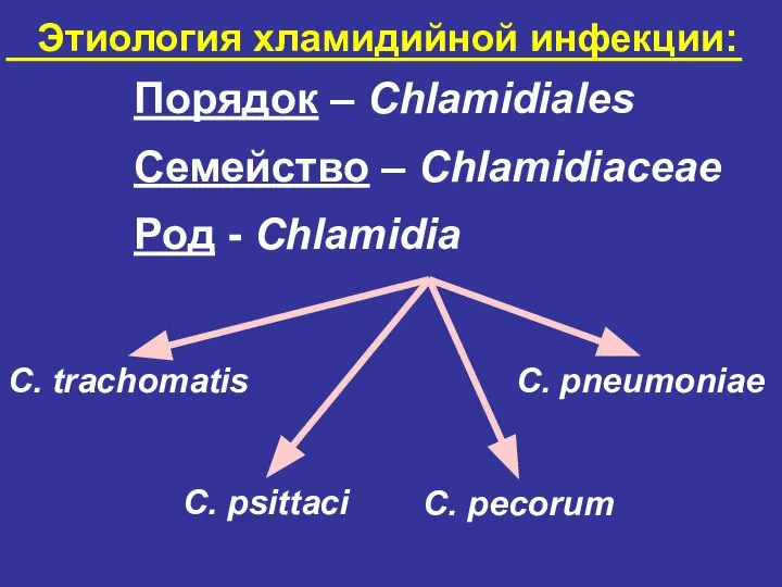 Этиология хламидийной инфекции: Порядок – Chlamidiales Семейство – Chlamidiaceae Род -