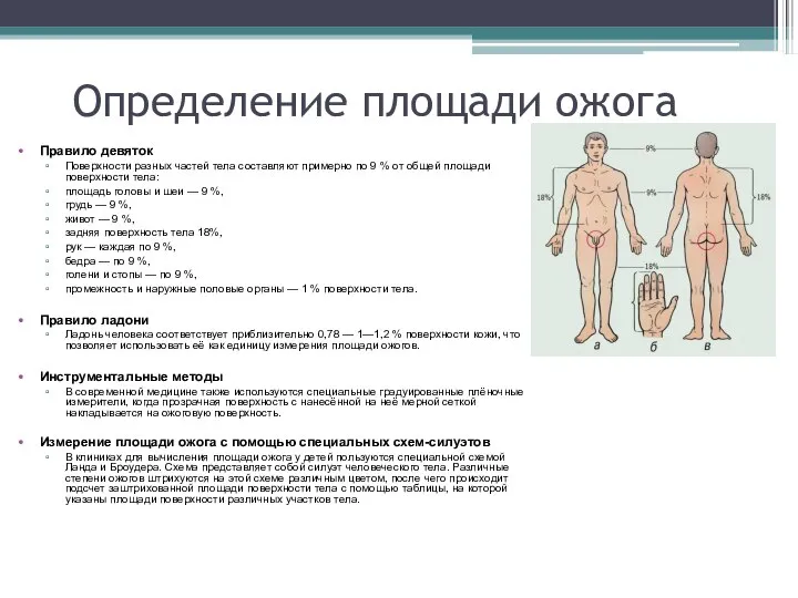 Определение площади ожога Правило девяток Поверхности разных частей тела составляют примерно