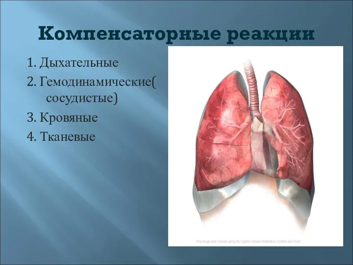 Компенсаторные реакции 1. Дыхательные 2. Гемодинамические( сосудистые) 3. Кровяные 4. Тканевые