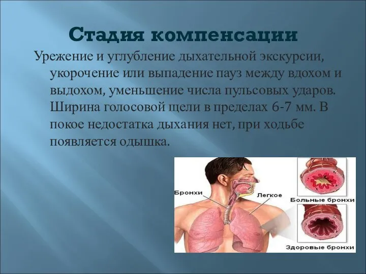 Стадия компенсации Урежение и углубление дыхательной экскурсии, укорочение или выпадение пауз