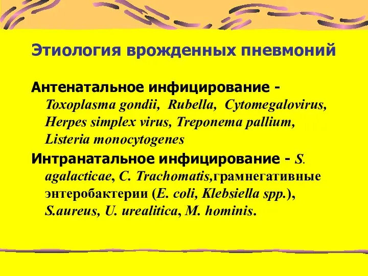 Этиология врожденных пневмоний Антенатальное инфицирование - Toxoplasma gondii, Rubella, Cytomegalovirus, Herpes