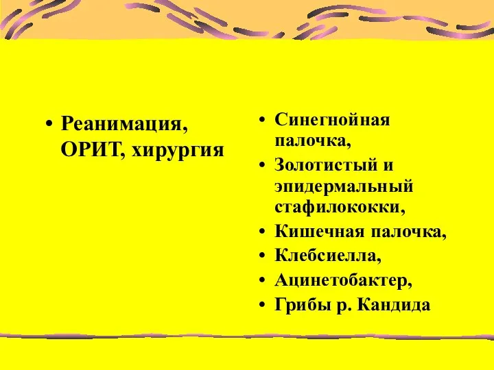 Реанимация, ОРИТ, хирургия Синегнойная палочка, Золотистый и эпидермальный стафилококки, Кишечная палочка, Клебсиелла, Ацинетобактер, Грибы р. Кандида