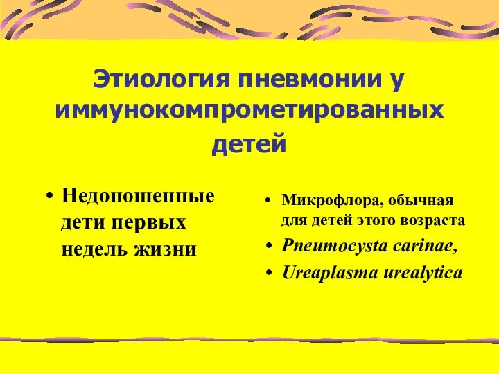 Этиология пневмонии у иммунокомпрометированных детей Недоношенные дети первых недель жизни Микрофлора,