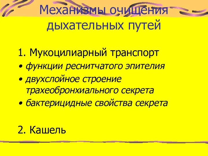 1. Мукоцилиарный транспорт функции реснитчатого эпителия двухслойное строение трахеобронхиального секрета бактерицидные