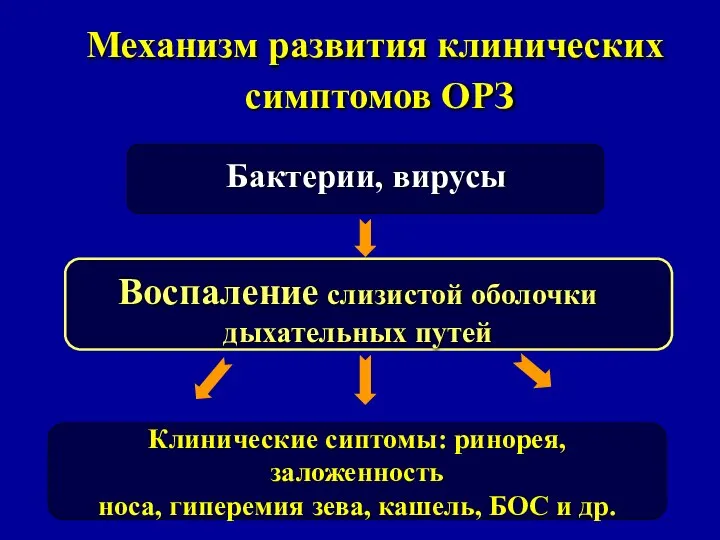 Механизм развития клинических симптомов ОРЗ Воспаление слизистой оболочки дыхательных путей Клинические