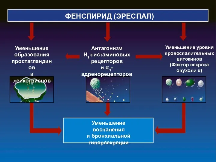 ФЕНСПИРИД (ЭРЕСПАЛ) Уменьшение воспаления и бронхиальной гиперсекреции Уменьшение образования простагландинов и