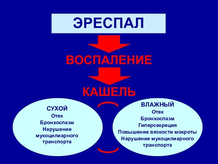 ЭРЕСПАЛ ВОСПАЛЕНИЕ КАШЕЛЬ СУХОЙ Отек Бронхоспазм Нарушение мукоцилиарного транспорта ВЛАЖНЫЙ Отек