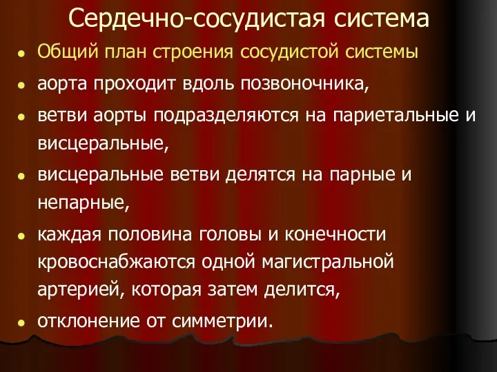 Сердечно-сосудистая система Общий план строения сосудистой системы аорта проходит вдоль позвоночника,