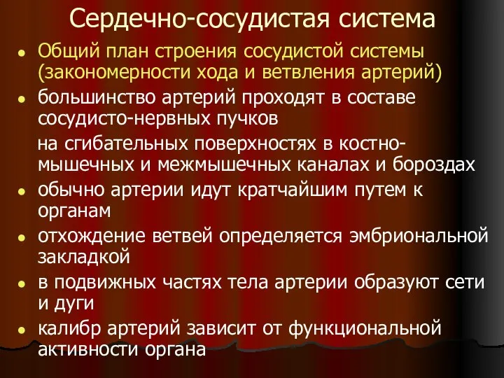 Сердечно-сосудистая система Общий план строения сосудистой системы (закономерности хода и ветвления