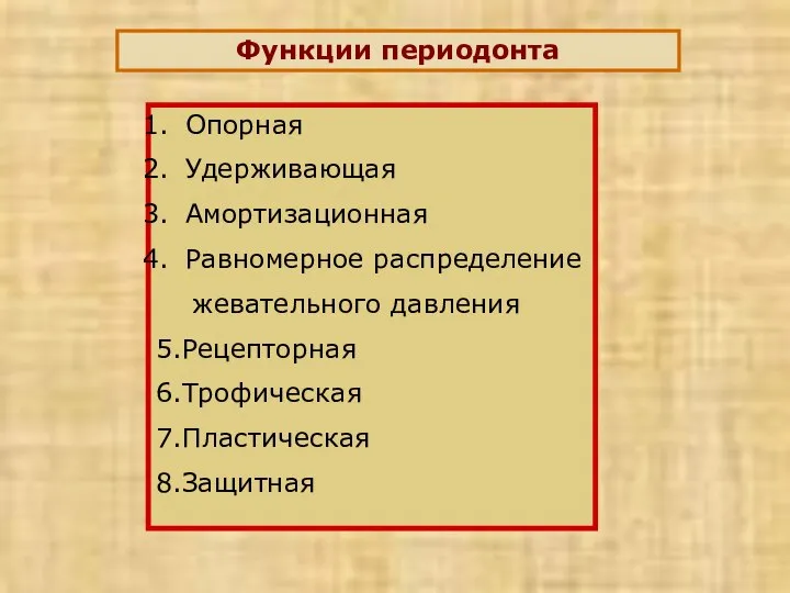 Функции периодонта Опорная Удерживающая Амортизационная Равномерное распределение жевательного давления 5.Рецепторная 6.Трофическая 7.Пластическая 8.Защитная